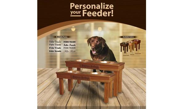 Custom Nameplate Killuminati Foundation Elevated Pet Feeders