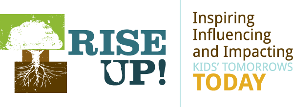 Brunswick V Force Air Hockey Table