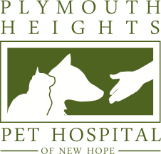 Logo plymouth