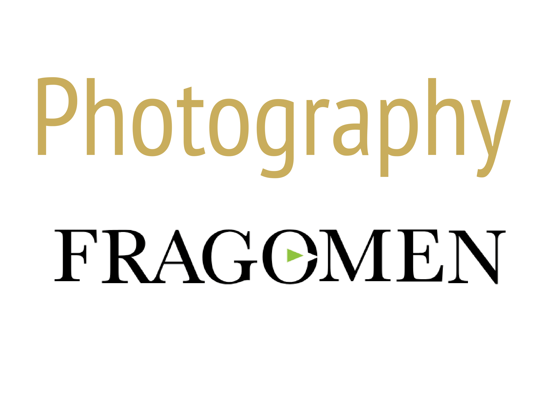 Untitled document   google docs fragomen 1
